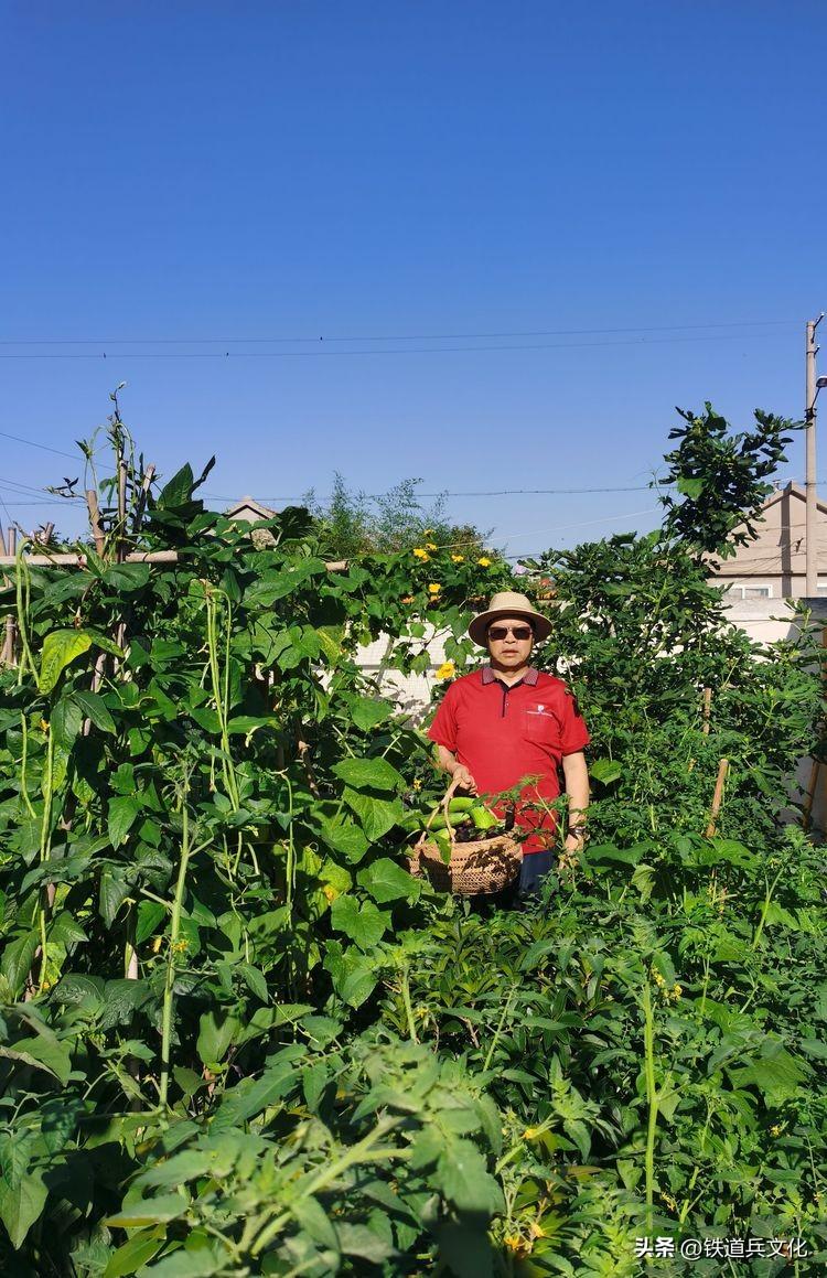 老屋心最暖 秋韵果尤香一一写在故乡的小诗(图47)