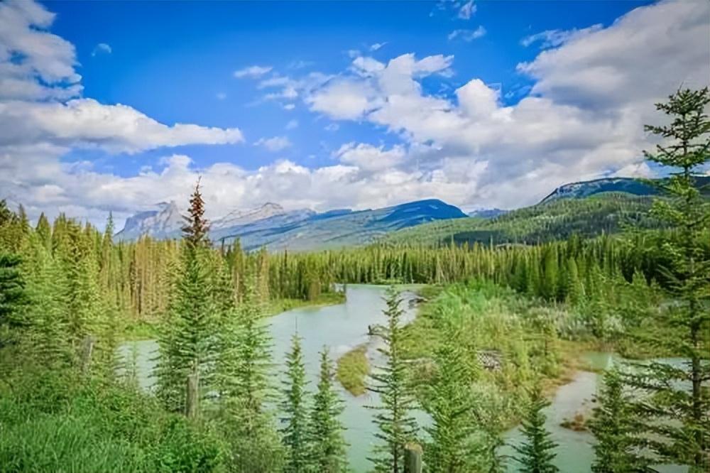 花开时光，亲子同行，陪伴孩子成长的唯美句子(图2)