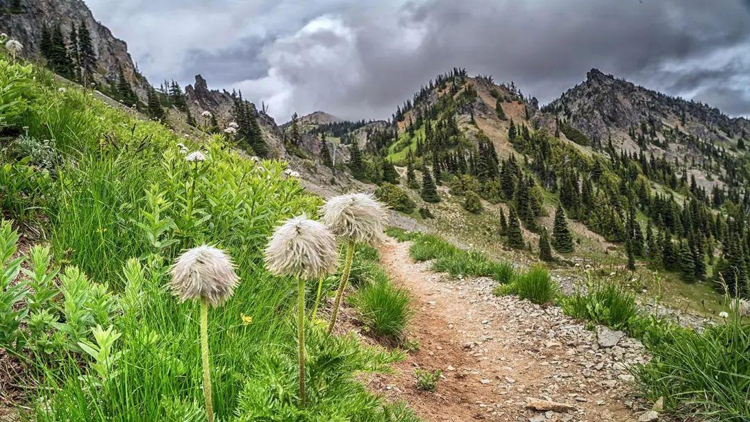 花开时光，亲子同行，陪伴孩子成长的唯美句子(图3)