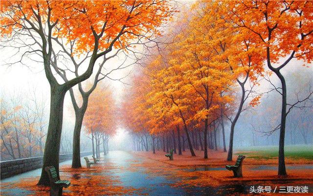 不乱于心，不困于情，不畏将来，不念过去(图3)