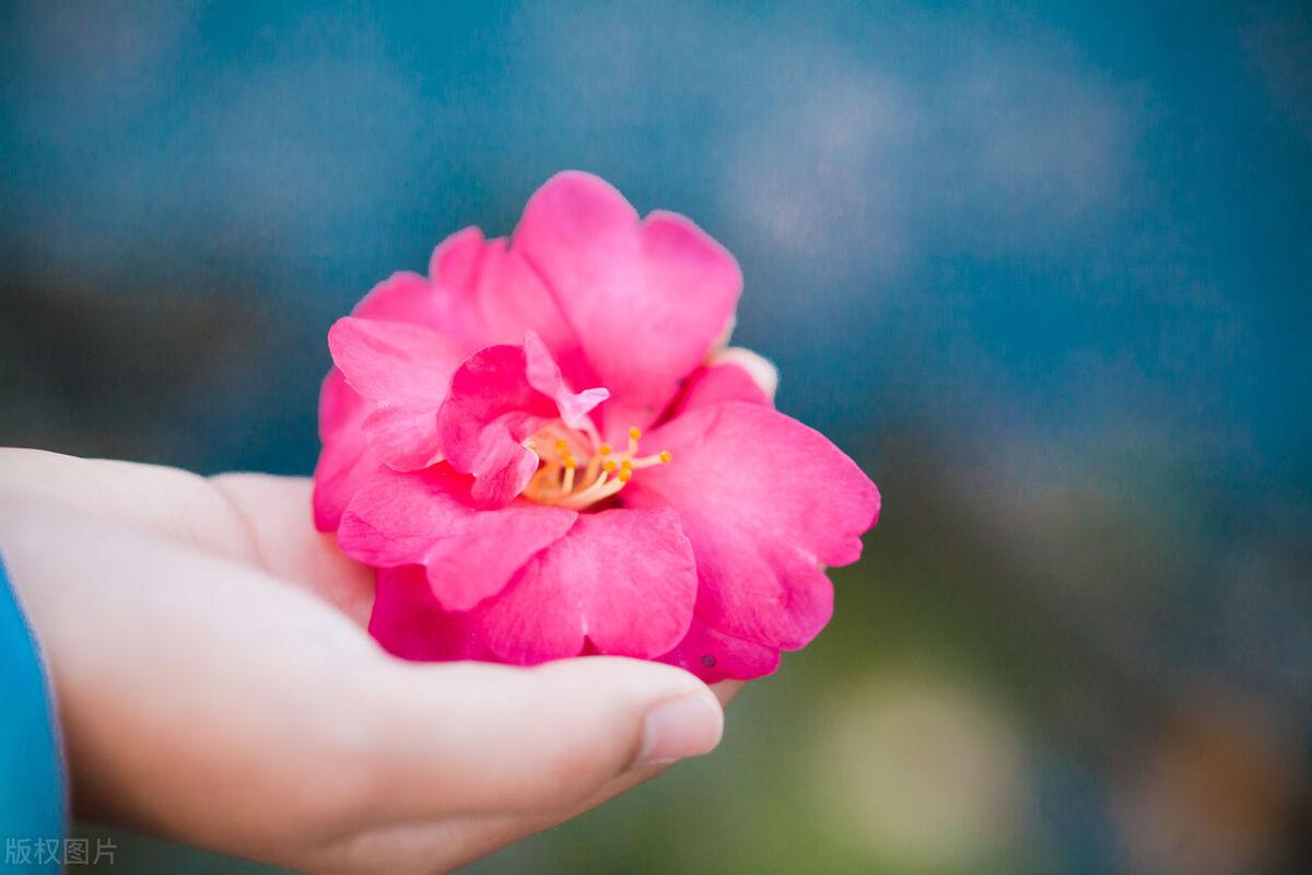 每日一句激励自己前行的精选文案(图2)