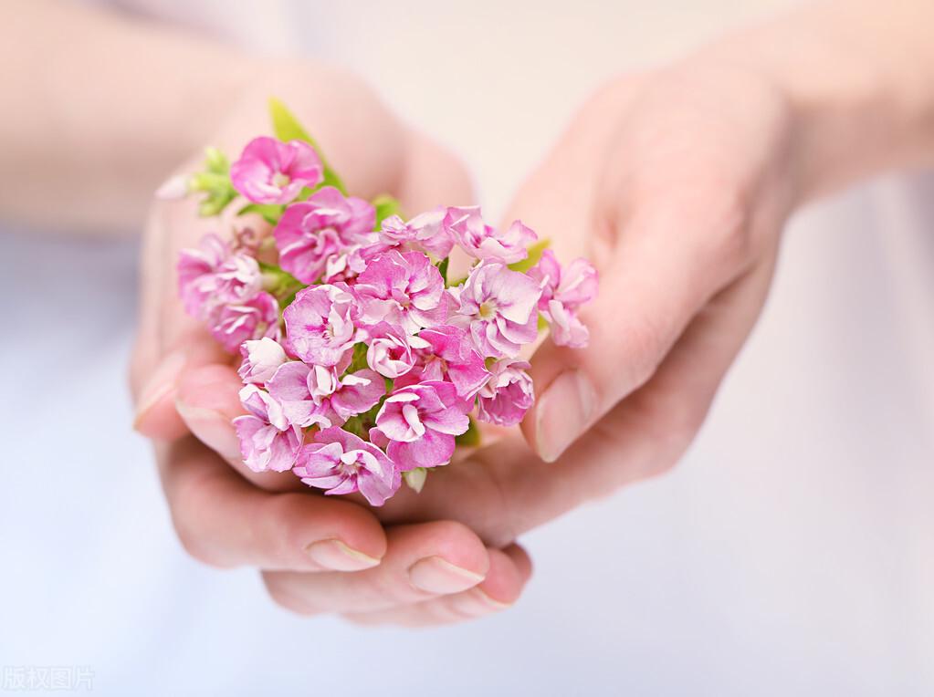 每日一句激励自己前行的精选文案(图3)