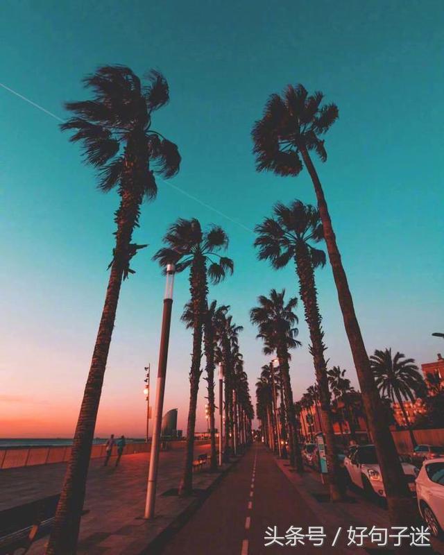 致自己超拽超霸气的心情短语，很酷很洒脱，你肯定喜欢！(图4)