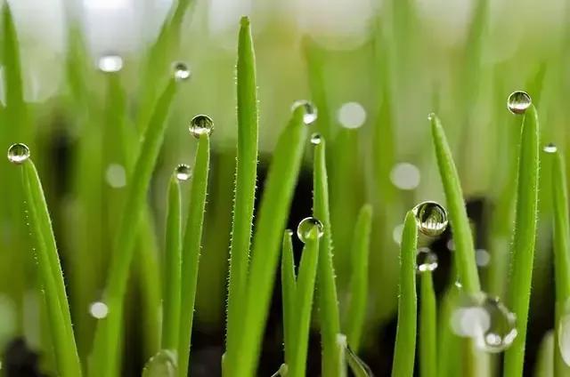 经典吵架语录汇集(图1)