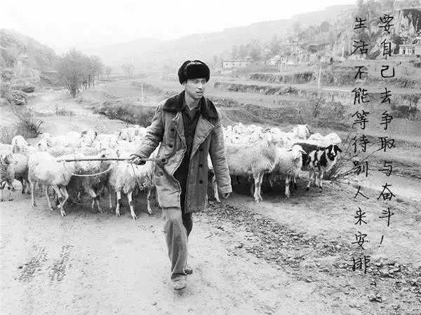 《平凡的世界》最走心的20句，你我皆凡人，懂得知足也不轻言放弃(图19)