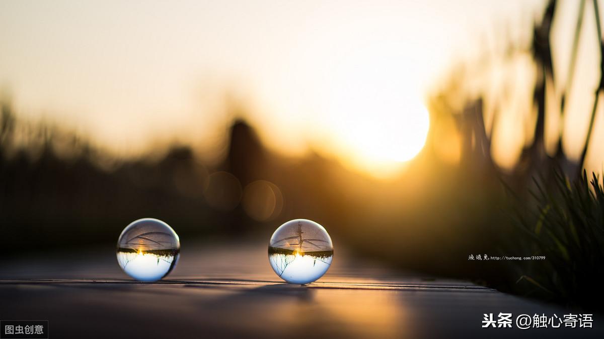 10条引人深思的短句，天助自助者，成功者自救(图4)