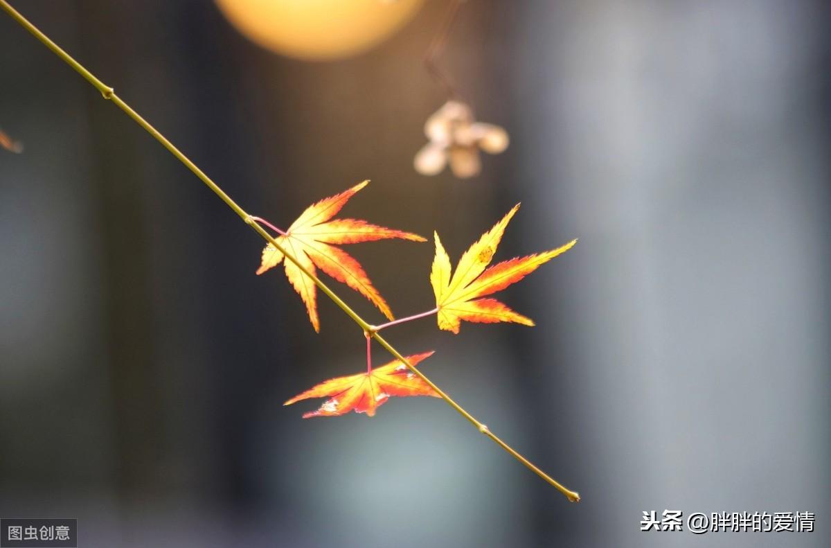 水深则流缓，语迟则人贵；天助自助者，成功者自救(图2)