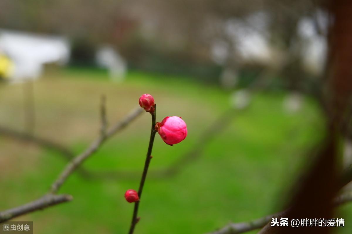 水深则流缓，语迟则人贵；天助自助者，成功者自救(图3)