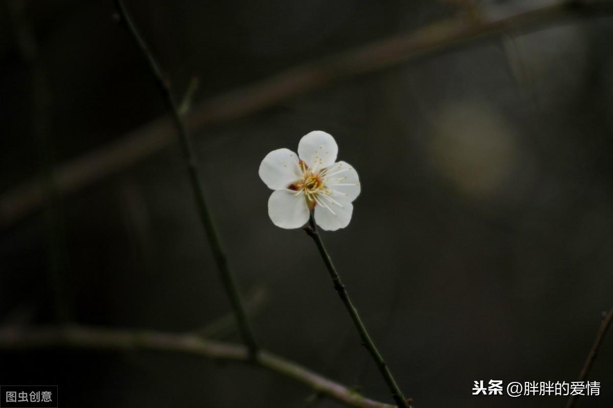 水深则流缓，语迟则人贵；天助自助者，成功者自救(图5)