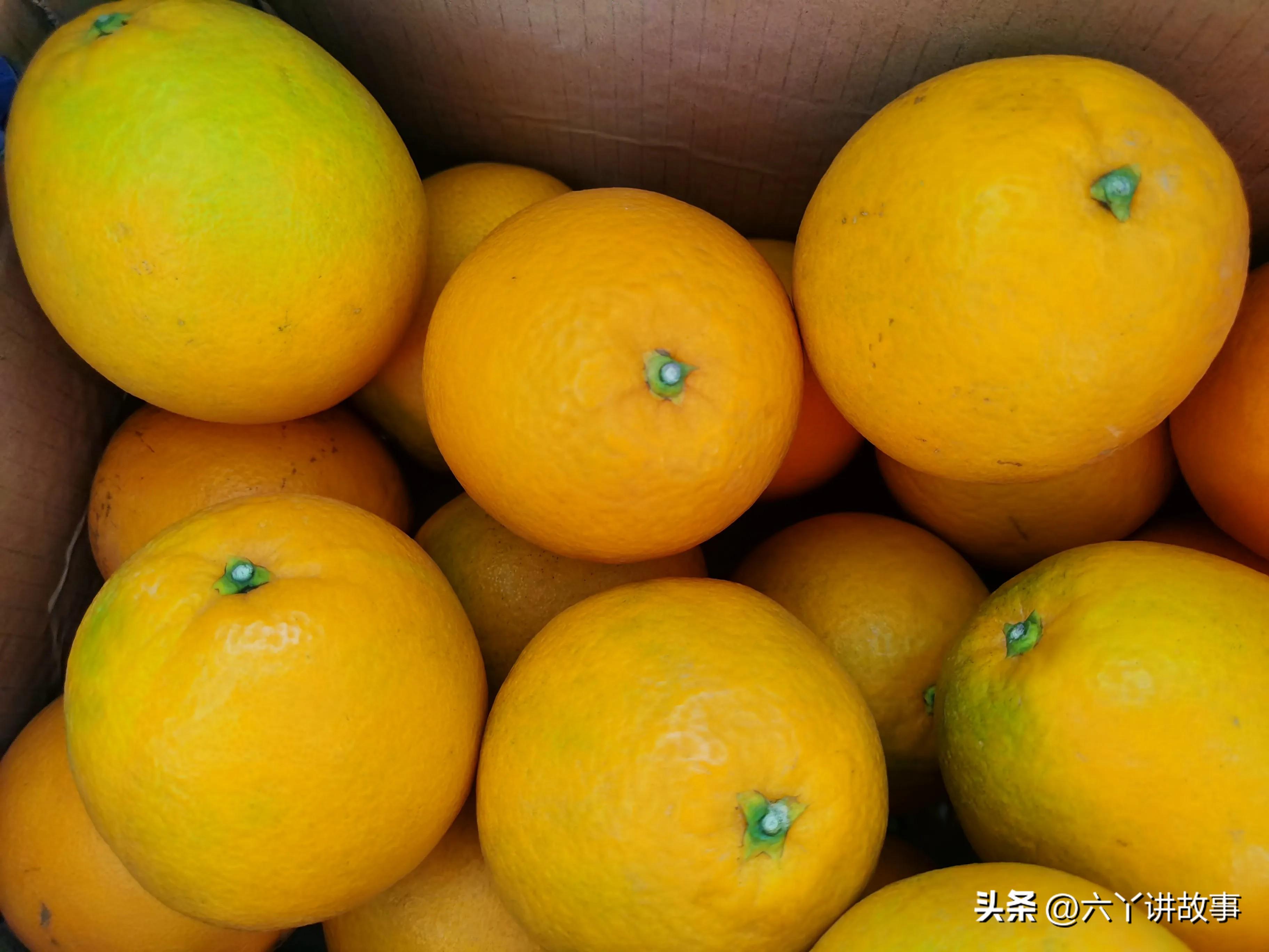 #含有学习励志语句与文章有哪些#生活最美的样子/​...(图3)