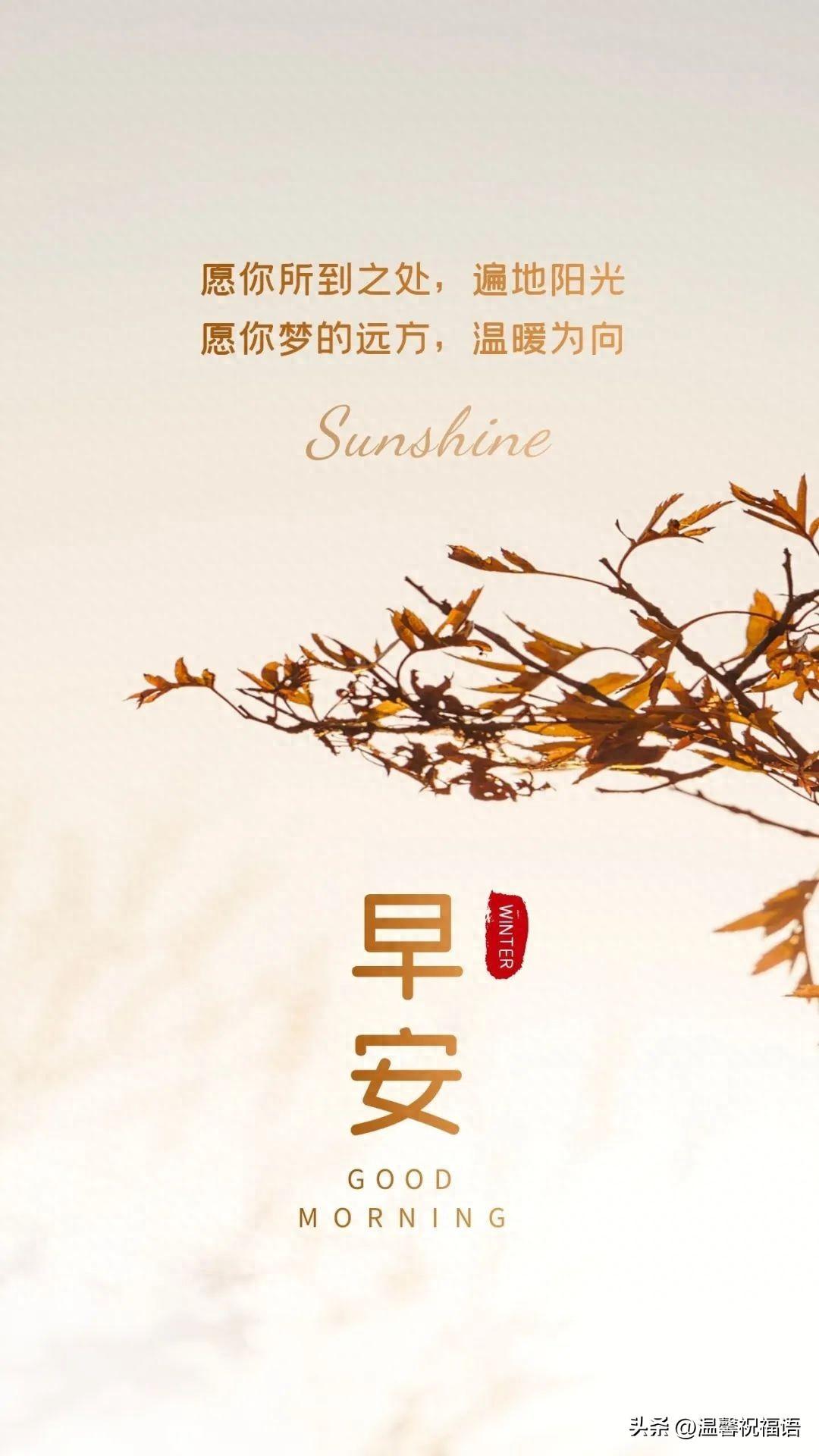 早安励志 | 适合早晨阅读转发的励志语录，简短正能量早安励志句子(图1)
