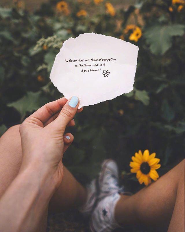 带给你好睡眠的晚安语录，句句经典，治愈心灵(图5)