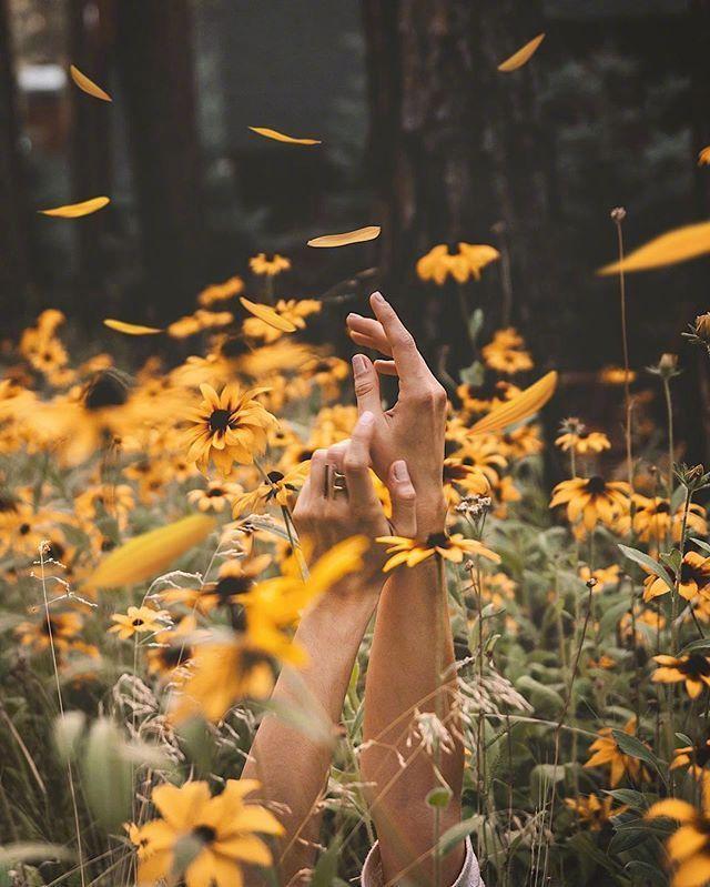 带给你好睡眠的晚安语录，句句经典，治愈心灵(图6)