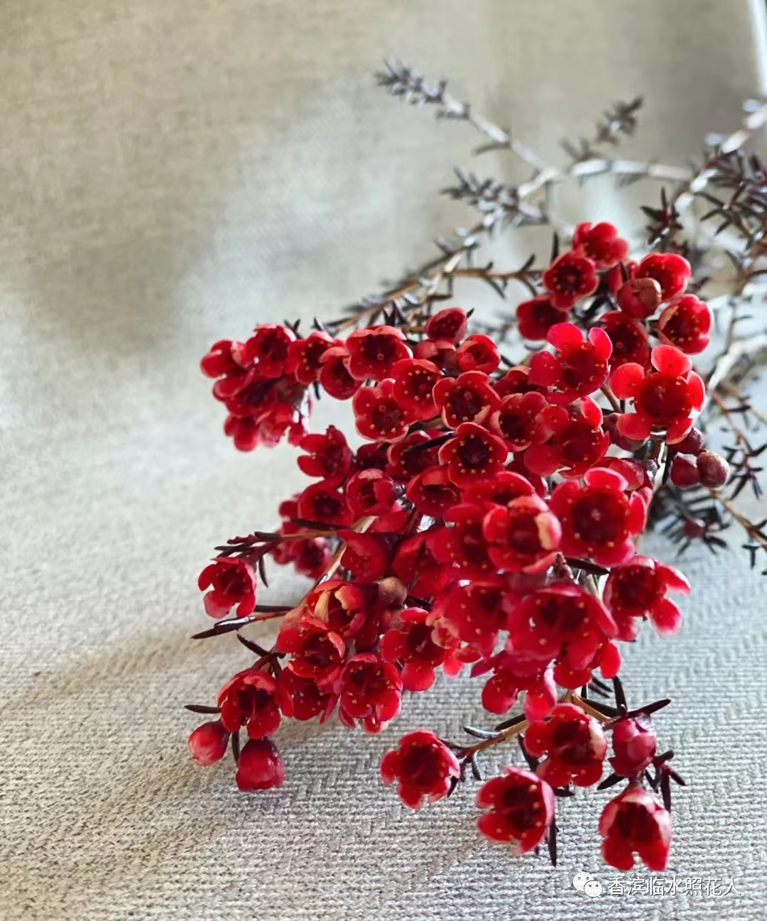 【遇见更好的自己——初中作文】曹闰月《一句名言,影响了我》9(图12) 【遇见更好的自己——初中作文】曹闰月《一句名言,影响了我》9(图12)