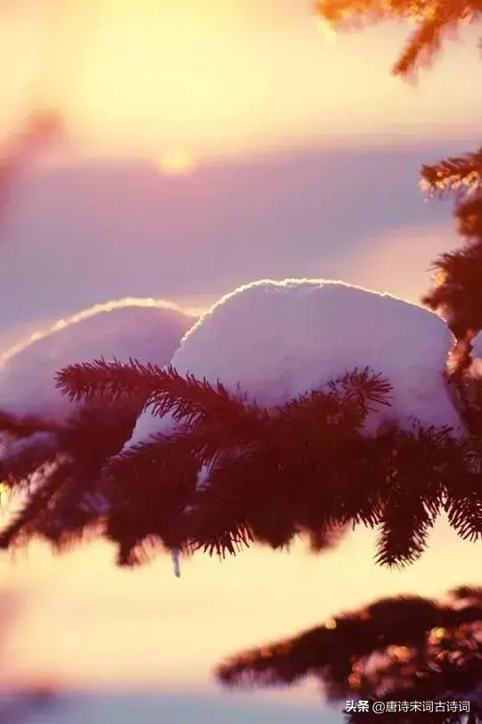 那些飘着雪花的诗句，怎一个美字了得！(图2)
