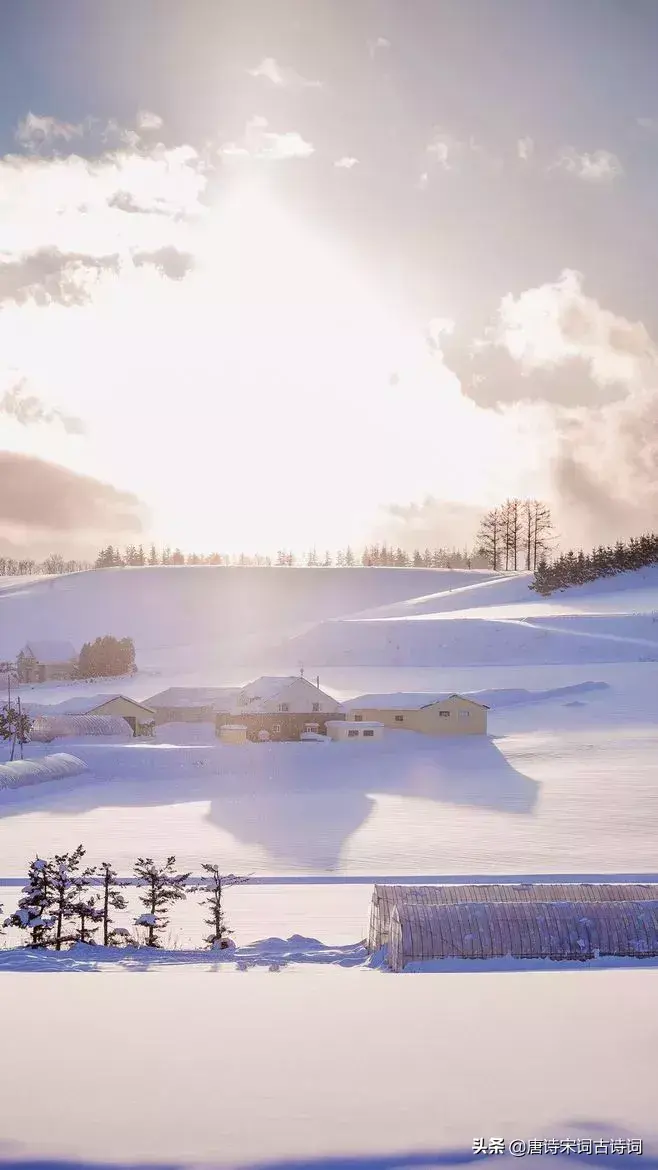 那些飘着雪花的诗句，怎一个美字了得！(图4)
