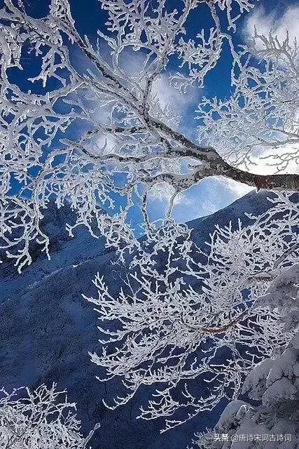 那些飘着雪花的诗句，怎一个美字了得！(图5)
