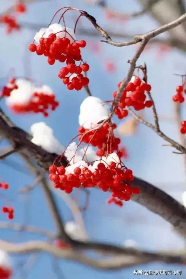 那些飘着雪花的诗句，怎一个美字了得！(图8)