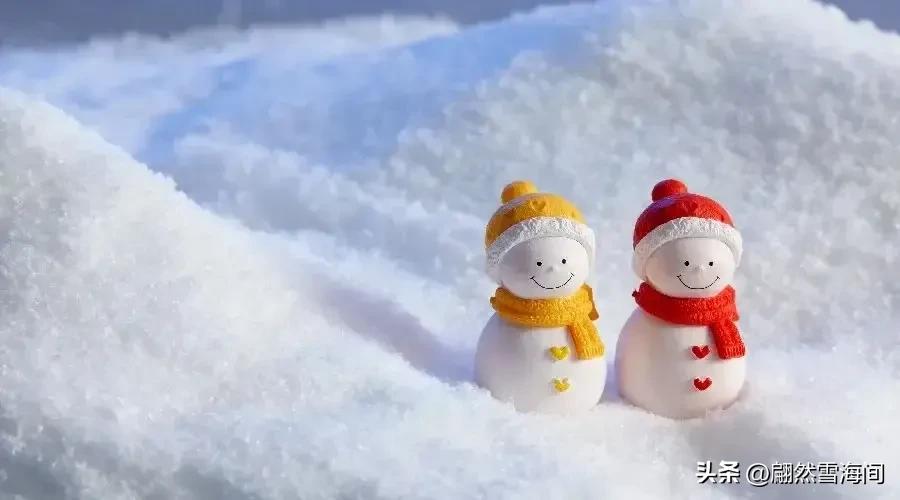 雪花随风飘扬，大地白茫茫一片，25句最美雪花诗词句，送给大家(图4)