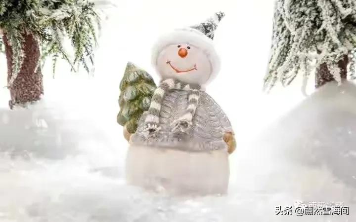 雪花随风飘扬，大地白茫茫一片，25句最美雪花诗词句，送给大家(图6)