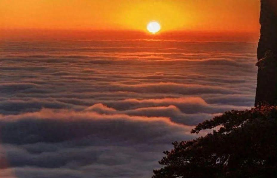 23个写给自己看淡一切无所谓的经典句子(图1)