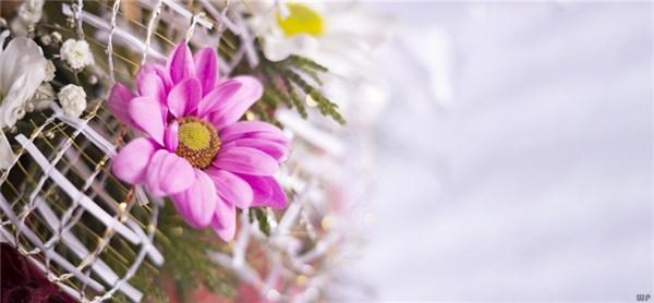 充满阳光的励志句子，深刻经典，句句入心(图1)