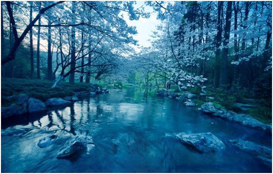 「诗词遇上名胜」西湖：涌金门外柳如烟，西子湖头水拍天(图3)