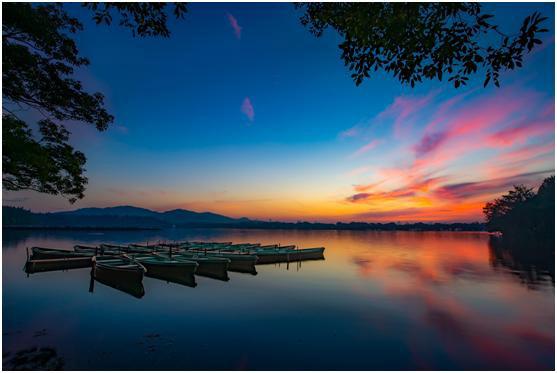 「诗词遇上名胜」西湖：涌金门外柳如烟，西子湖头水拍天(图5)