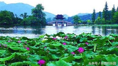 咏西湖的10首绝美诗词，烟柳画桥，风帘翠幕，疏影横斜，暗香浮动(图7)