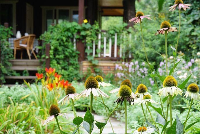 当我老了，买一处小院，种一片菜园，养一院繁花，与一人相守(图5)