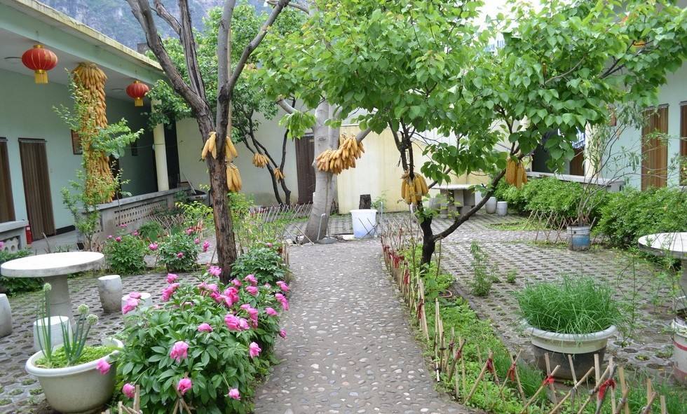 当我老了，买一处小院，种一片菜园，养一院繁花，与一人相守(图6)