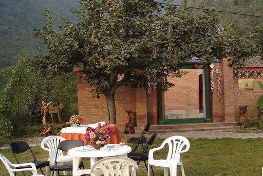 当我老了，买一处小院，种一片菜园，养一院繁花，与一人相守(图13)