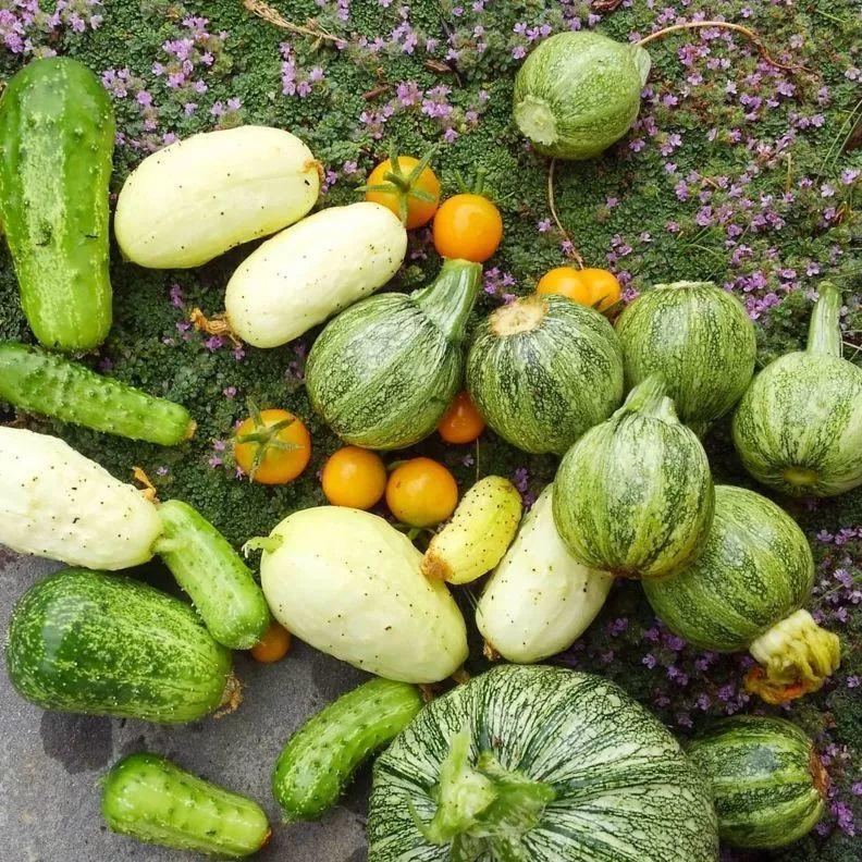 当我老了，买一处小院，种一片菜园，养一院繁花，与一人相守(图14)