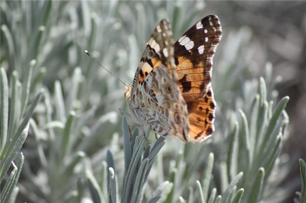 别想太多，我们只有一次生命，珍惜眼前，好好活着！(图1)