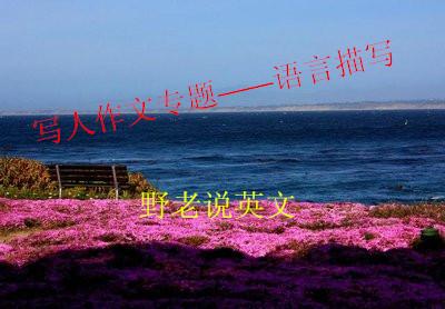 写人作文专题——语言描写(图1)