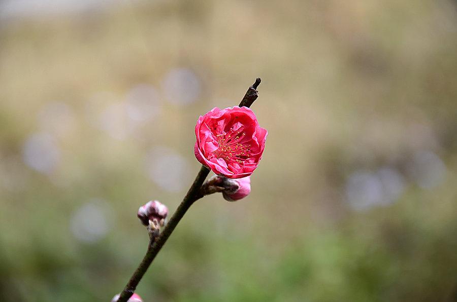 写人作文专题——语言描写(图2)