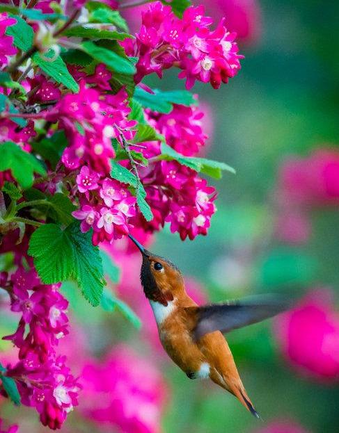 写人作文专题——语言描写(图3)