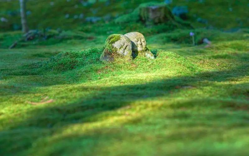 温暖心灵！24句朋友问候的暖心句子(图2)