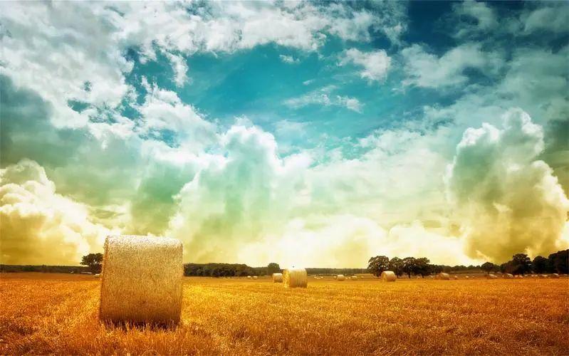 温暖心灵！24句朋友问候的暖心句子(图4)