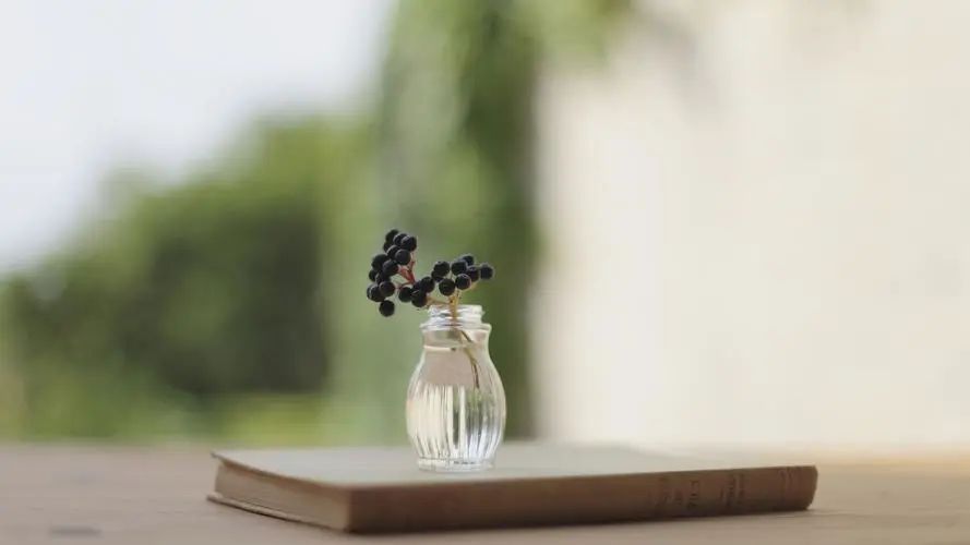 温暖心灵！24句朋友问候的暖心句子(图5)