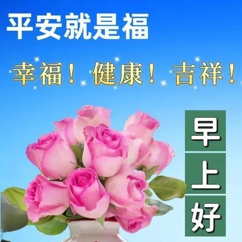最美早上好问候语及暖心话，愿你幸福快乐每一天(图3)