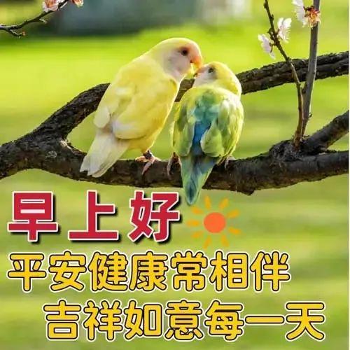 最美早上好问候语及暖心话，愿你幸福快乐每一天(图4)