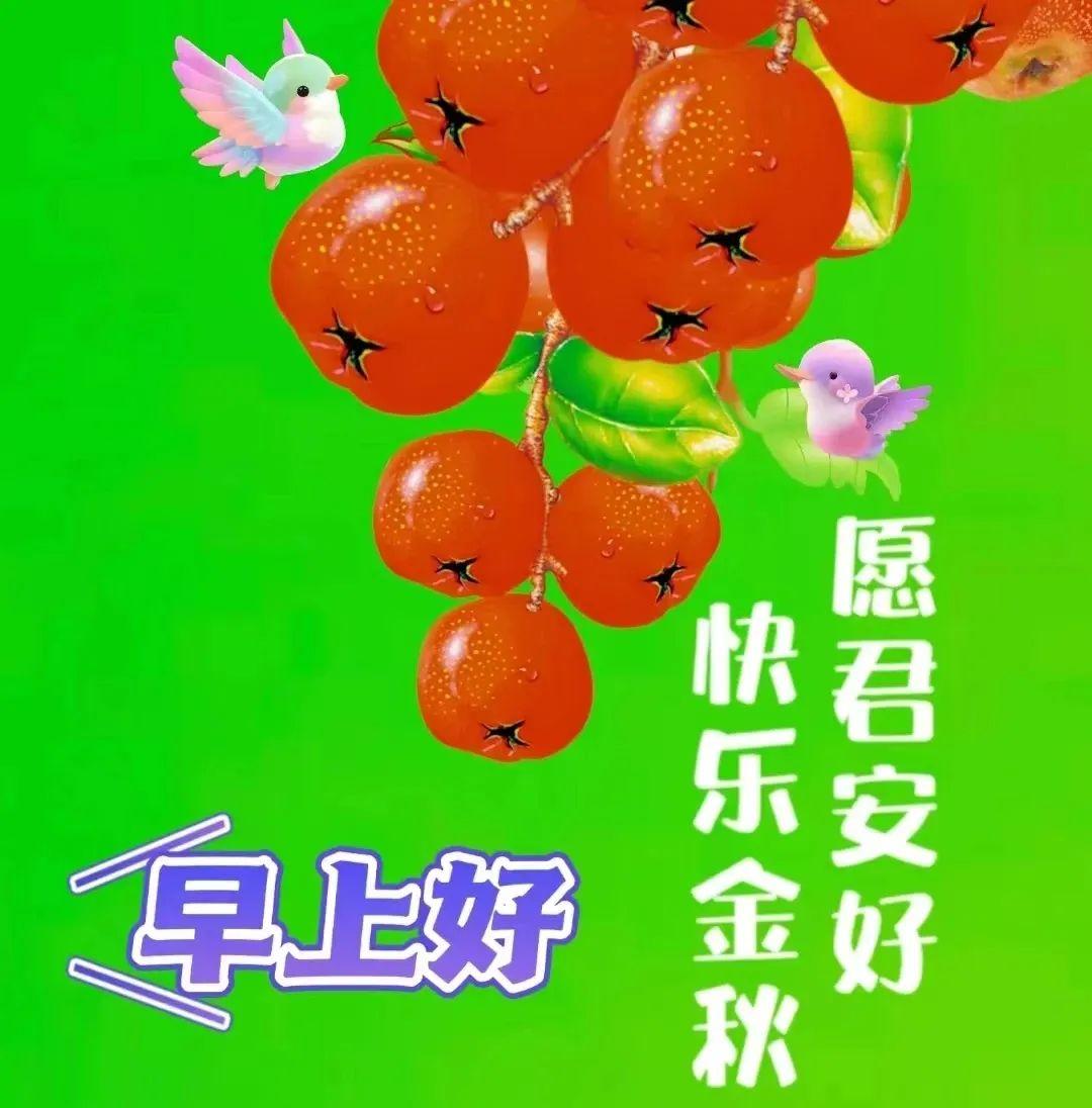 最美早上好问候语及暖心话，愿你幸福快乐每一天(图10)