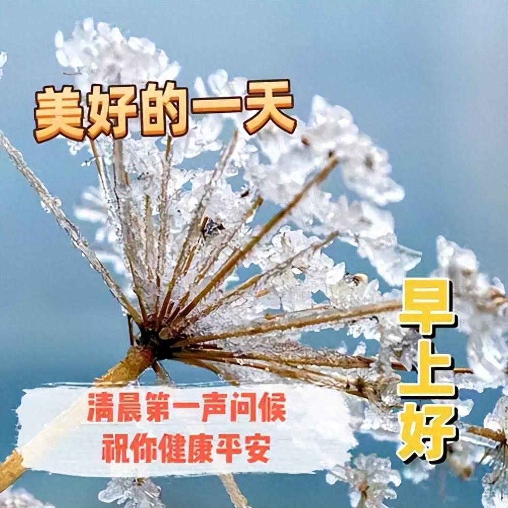 暖心温馨的早上好问候短句，让你的幸福久久，愿你快乐天长地久(图1)