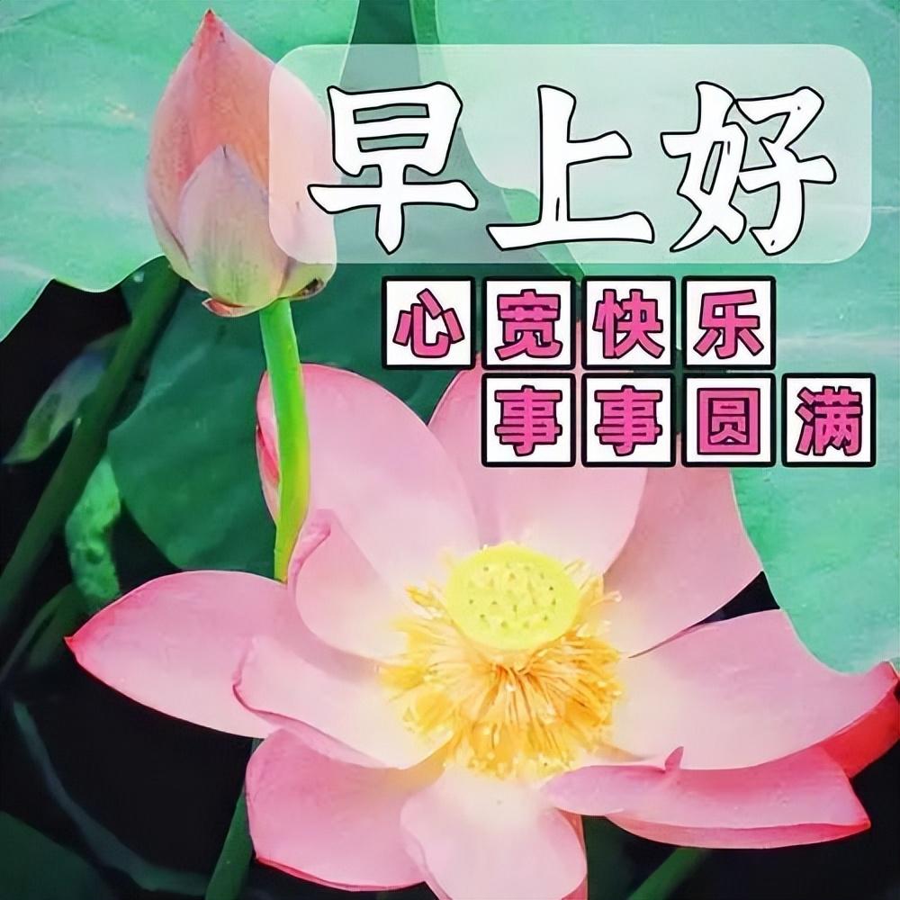 暖心温馨的早上好问候短句，让你的幸福久久，愿你快乐天长地久(图2)