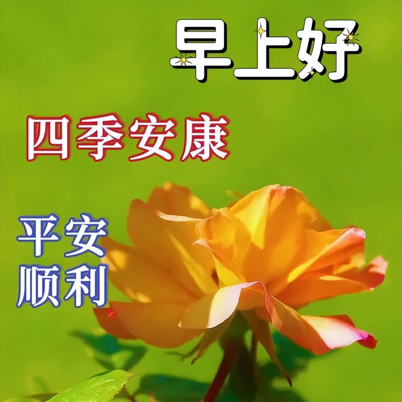 暖心温馨的早上好问候短句，让你的幸福久久，愿你快乐天长地久(图4)