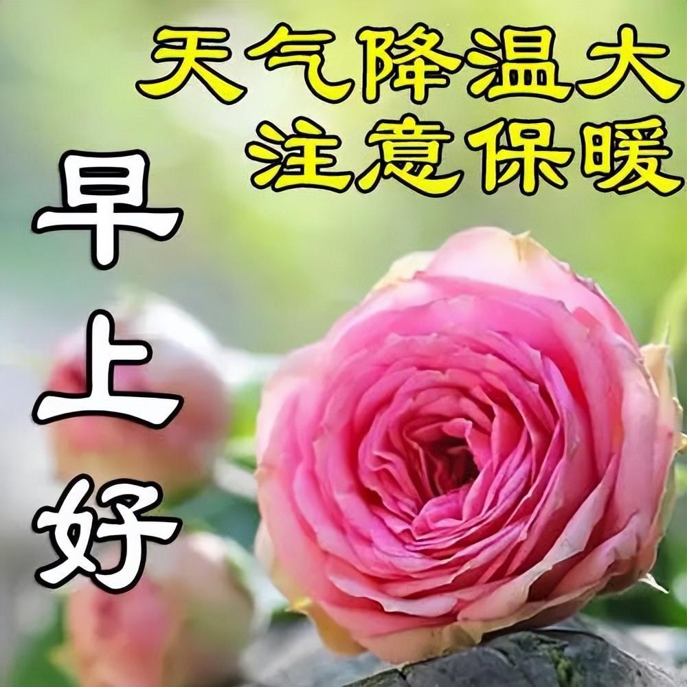 暖心温馨的早上好问候短句，让你的幸福久久，愿你快乐天长地久(图5)