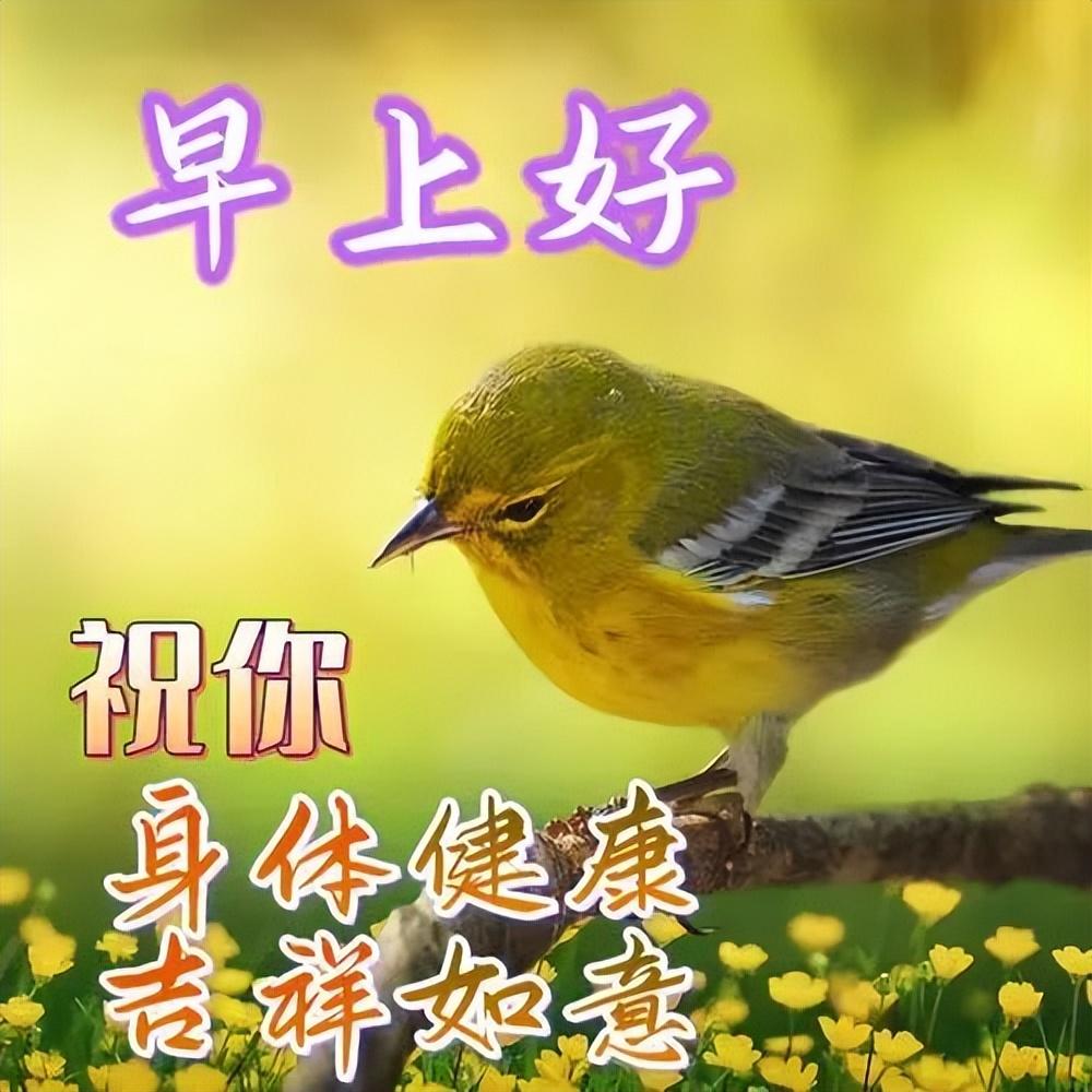 暖心温馨的早上好问候短句，让你的幸福久久，愿你快乐天长地久(图6)