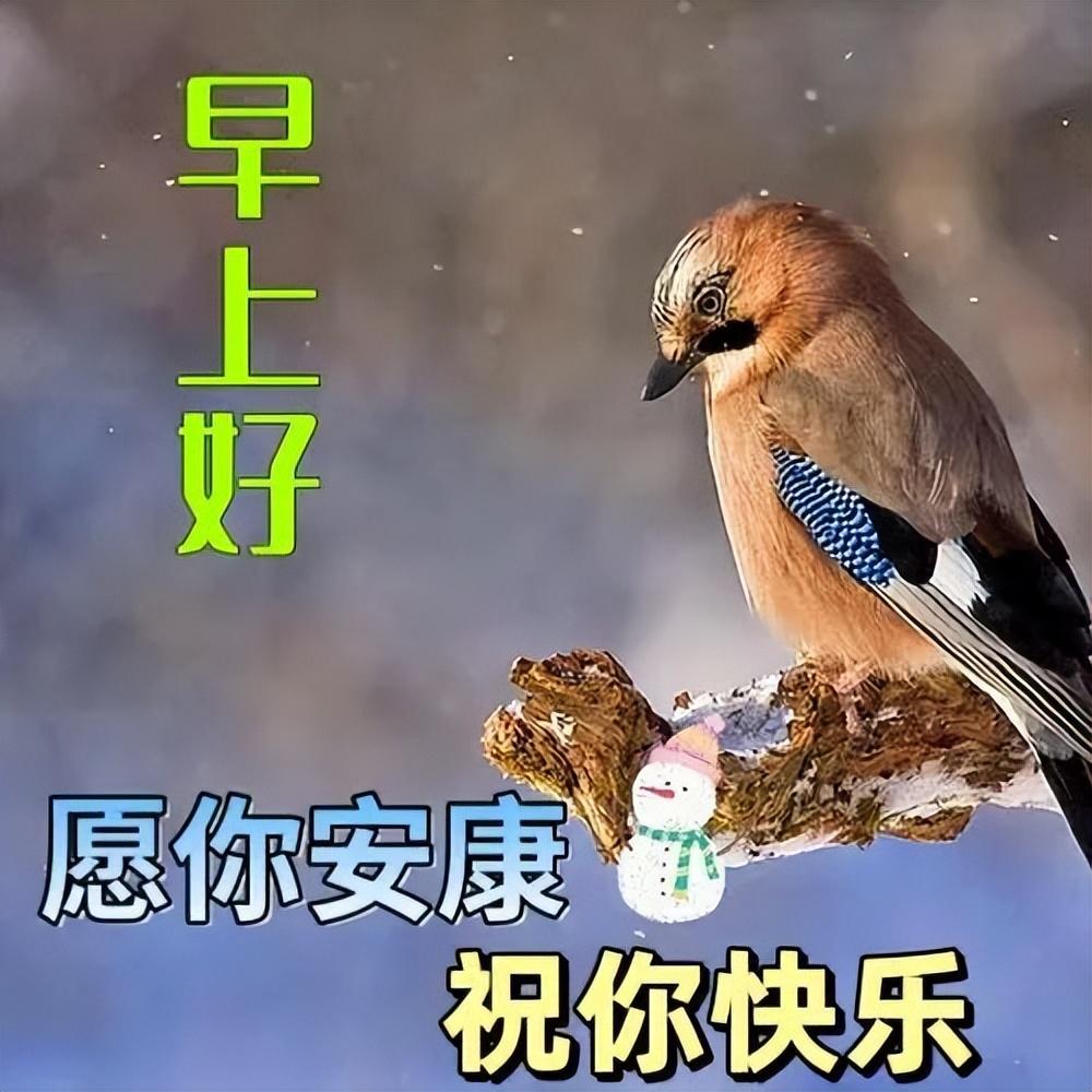 暖心温馨的早上好问候短句，让你的幸福久久，愿你快乐天长地久(图9)