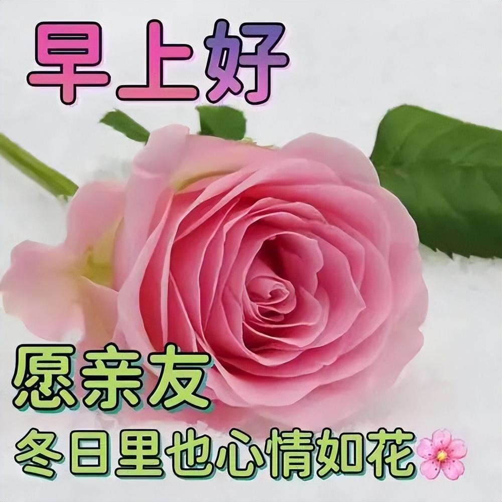 暖心温馨的早上好问候短句，让你的幸福久久，愿你快乐天长地久(图12)